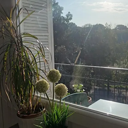 Apartment Boutique Vicino San Pietro Rome